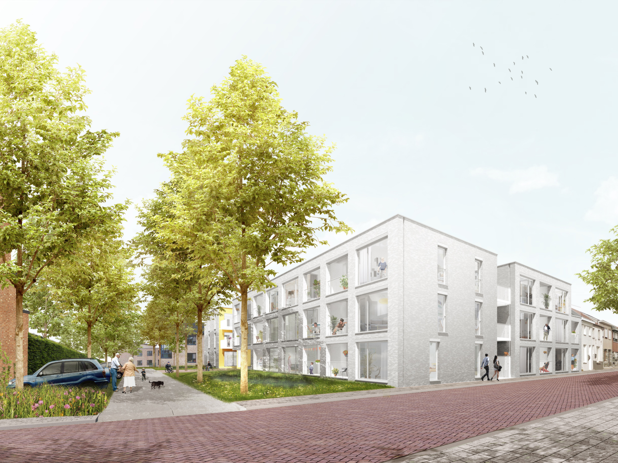 Eerste prijs in Zele