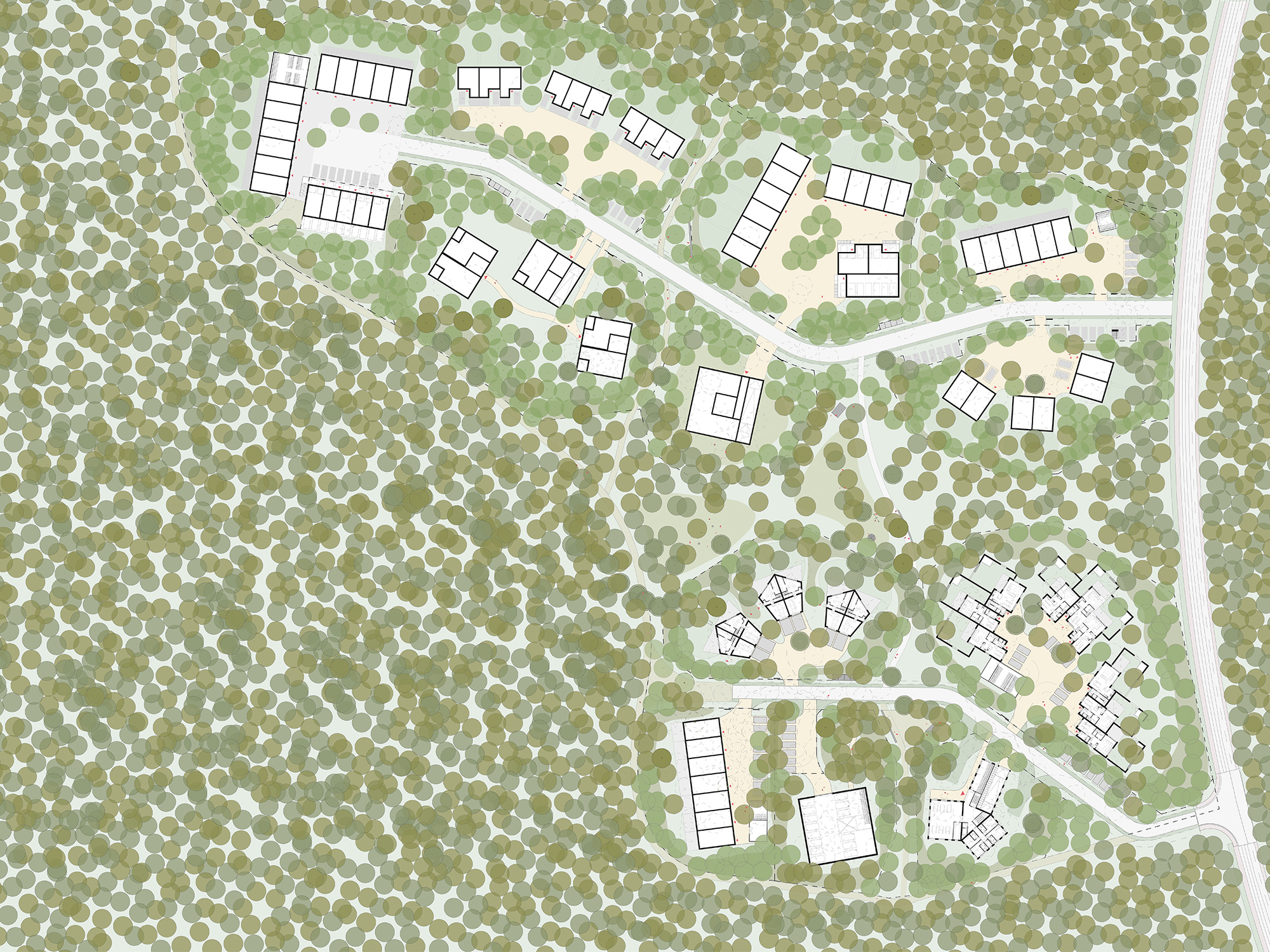 Meiboom