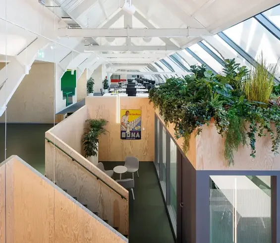 modern office space with reuse of building and materials